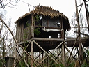 dsc00576